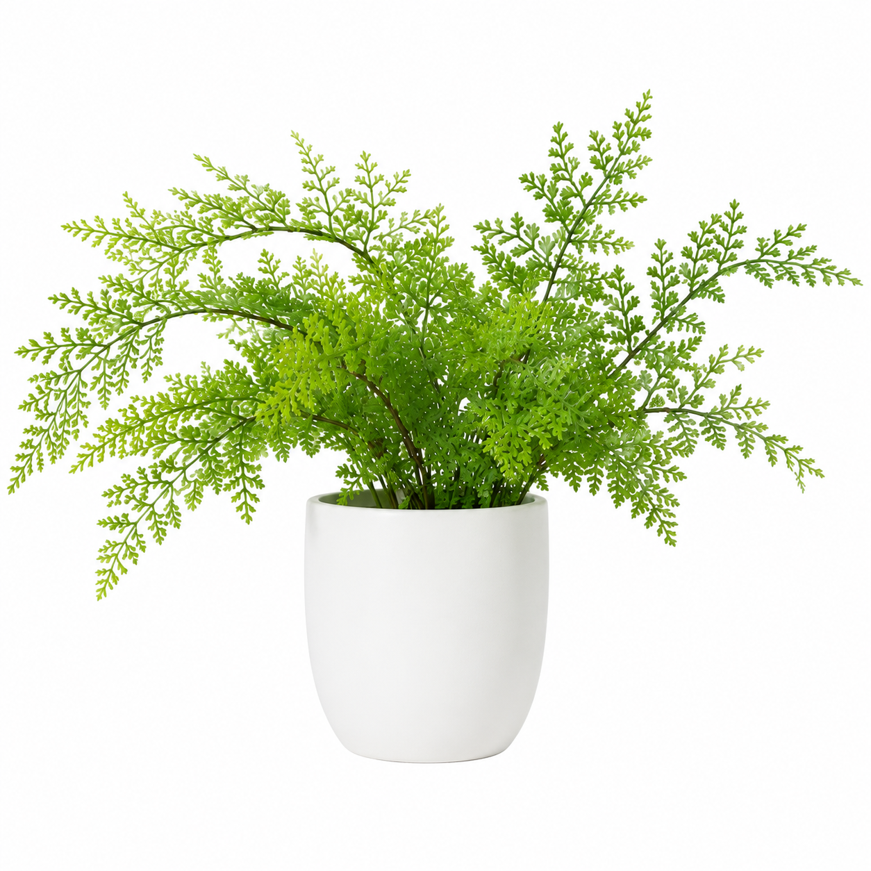 Potted Artificial Royal Fern