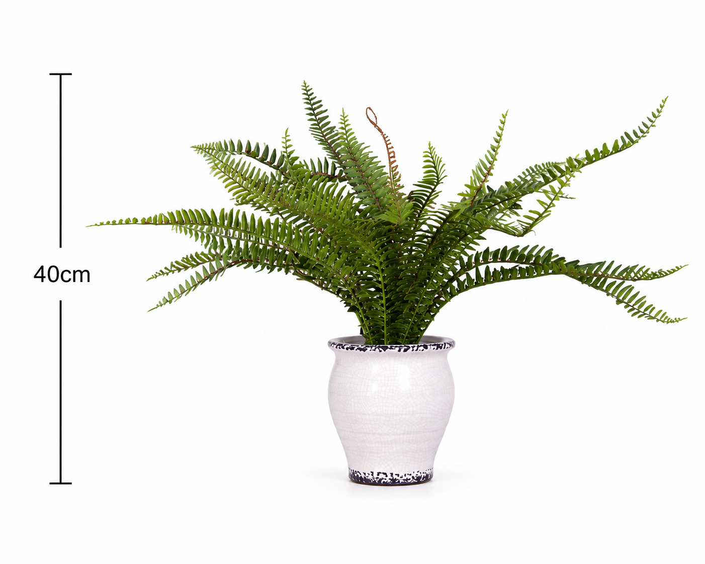 Potted Artificial Bushy Fern