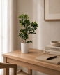 Oriental Elegance Artificial Bonsai Ficus Tree