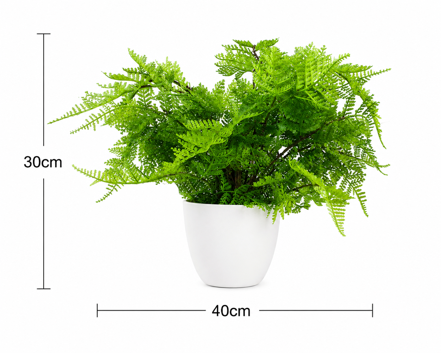 Mini Artificial Fern Botanical