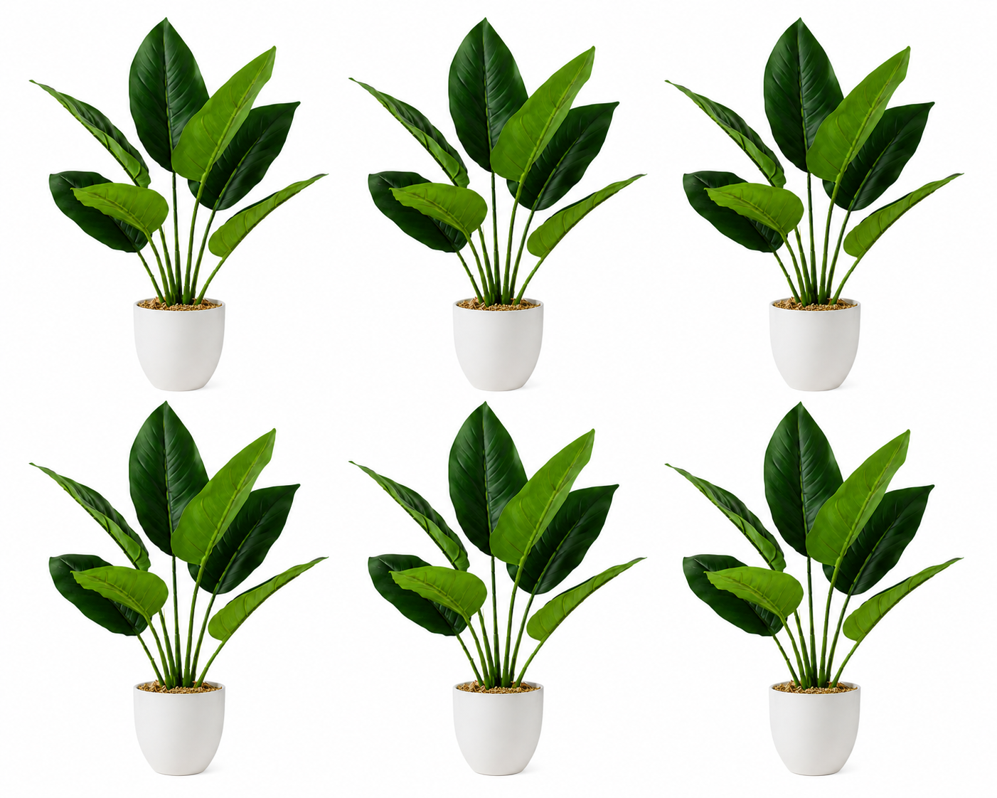 6-Pack Artificial Aureum Plant Set