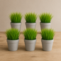6-Pack Artificial Mini Grass Plant Bundle